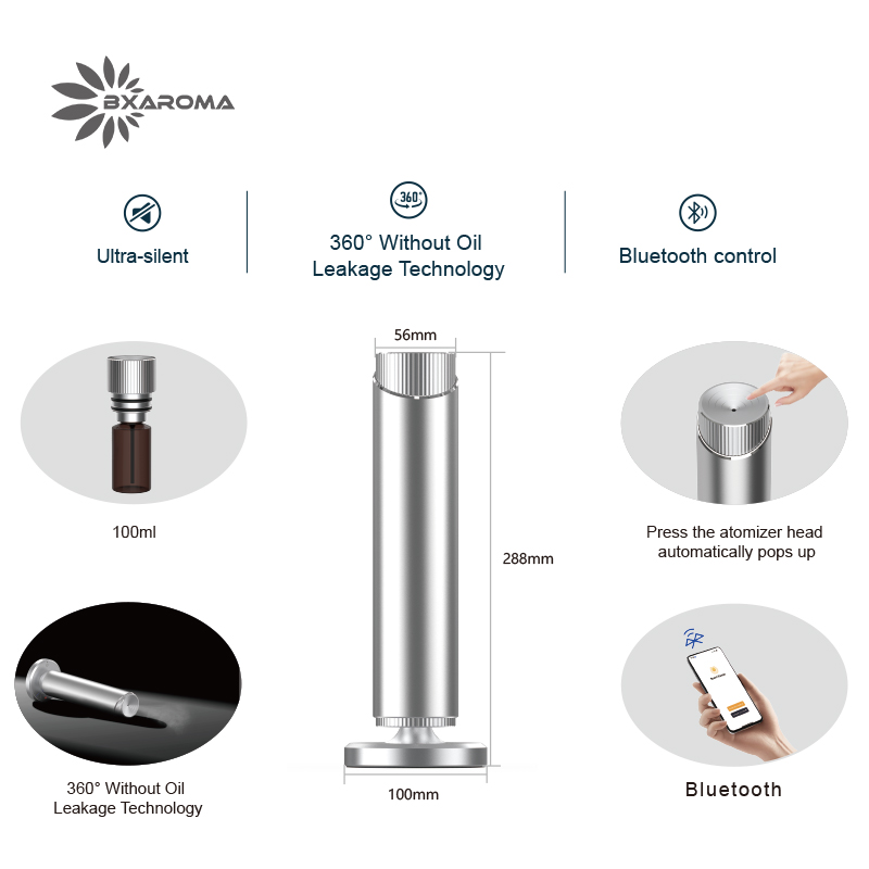Silver Aromatherapy Essential  - Home Fragrance Market recensione e prezzo