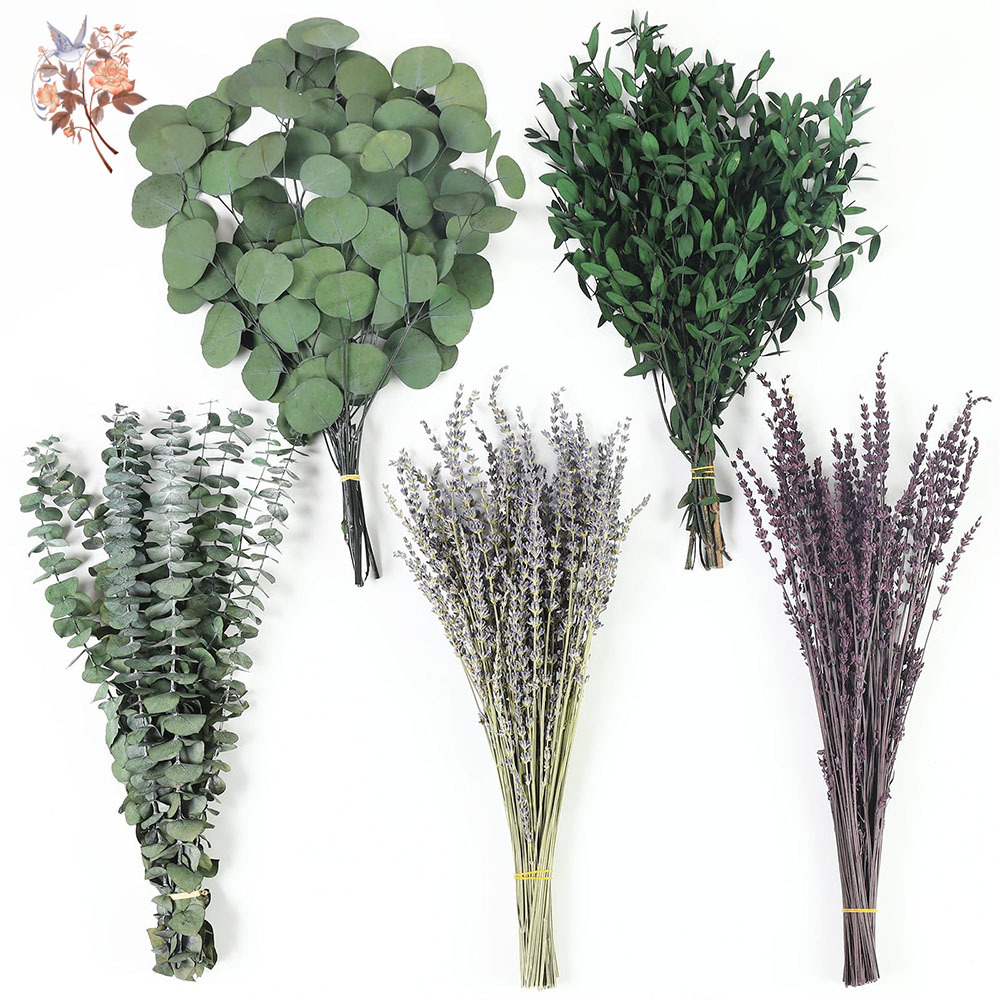 110Pcs Mix Dried Eucalyptus Le - Fragrance Your Home recensione e prezzo