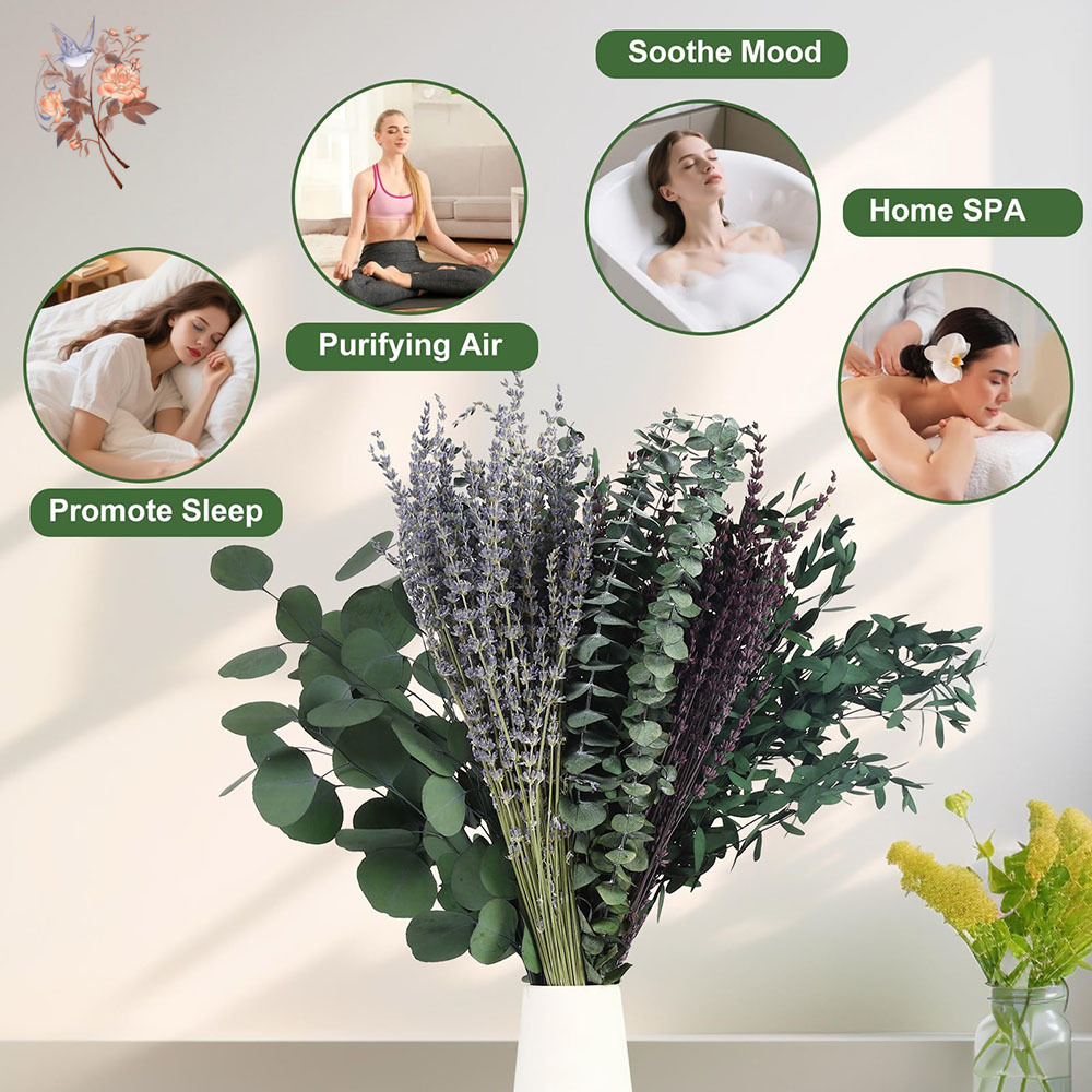 110Pcs Mix Dried Eucalyptus Le - Fragrance Your Home recensione e prezzo
