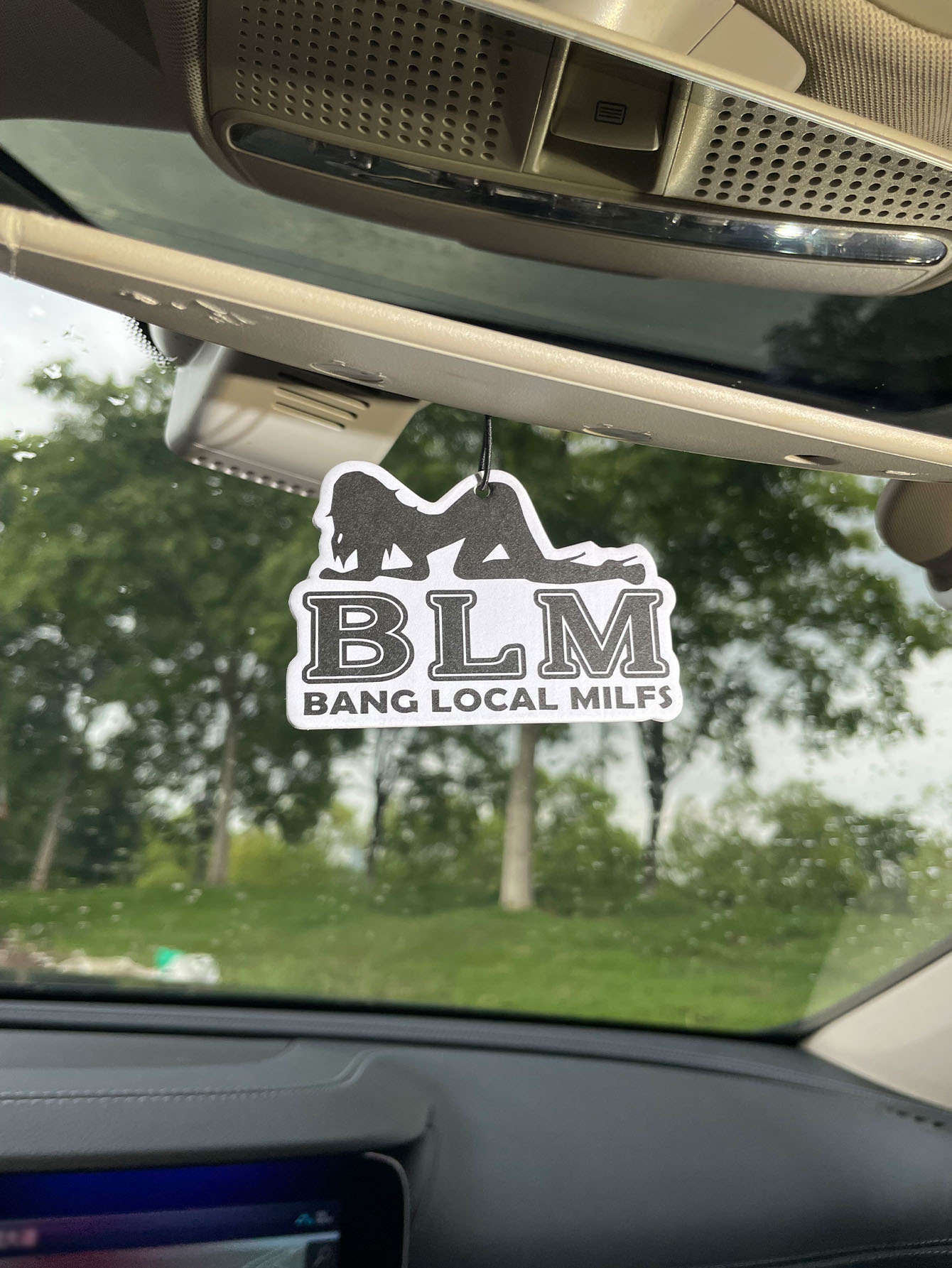 Blm Bang Local Milf/Fresh Frag - Home Fragrance Wholesale recensione e prezzo