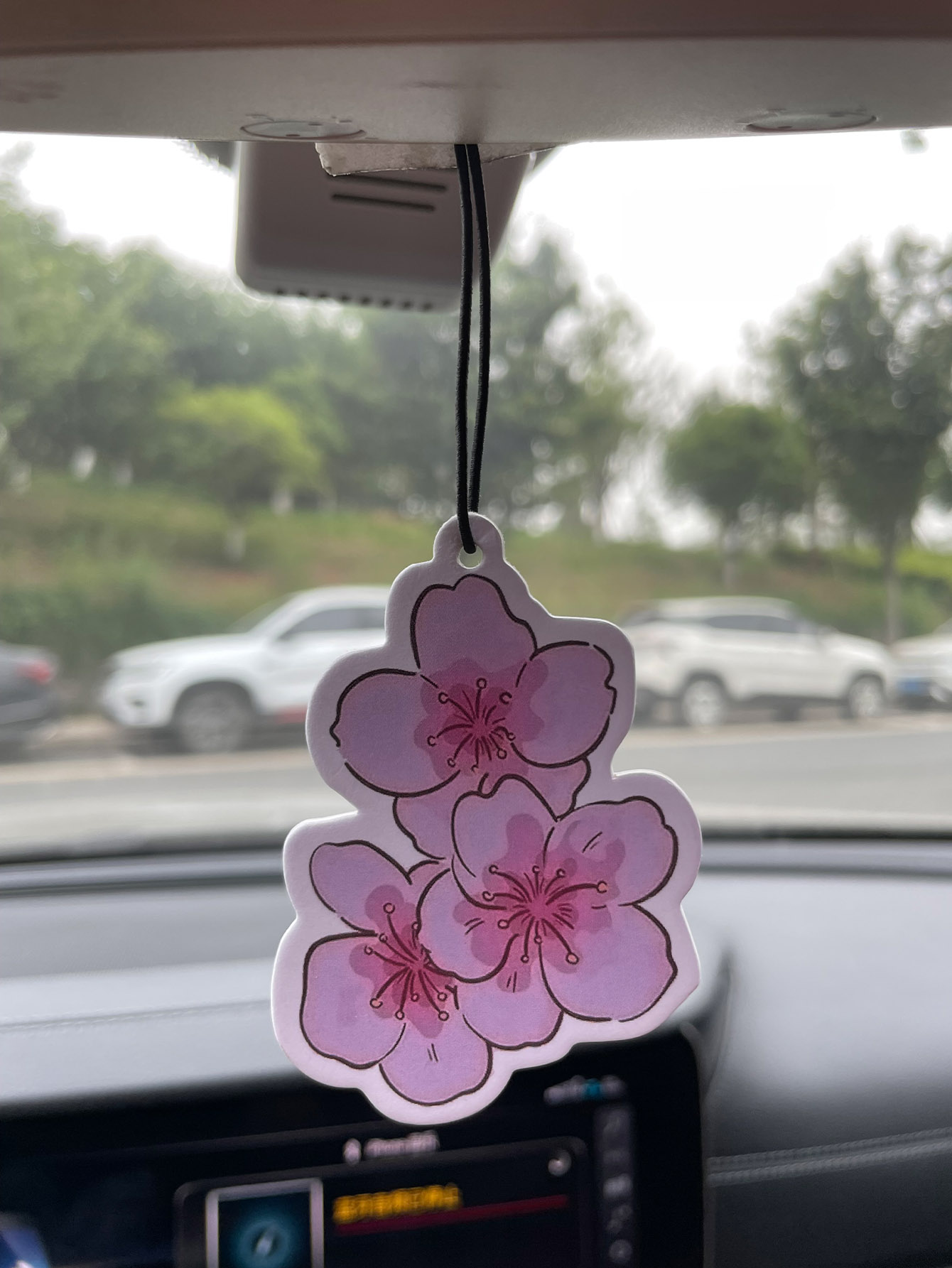 Sakura/Freesia Fresh Scent Fiv - Home Fragrance Wholesale recensione e prezzo
