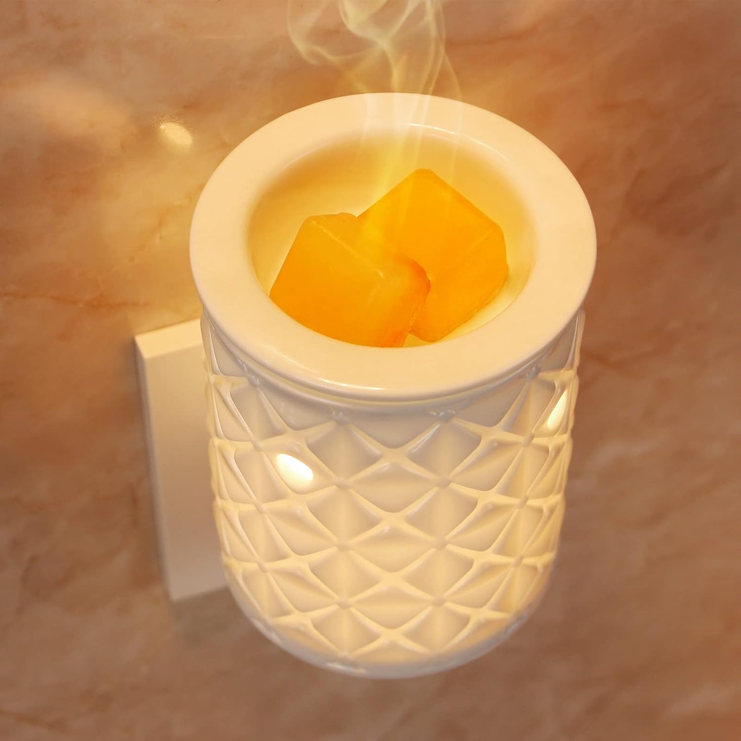 Plug in Wax Melt Warmer, Ceram - Home Fragrance Oil Burner recensione e prezzo