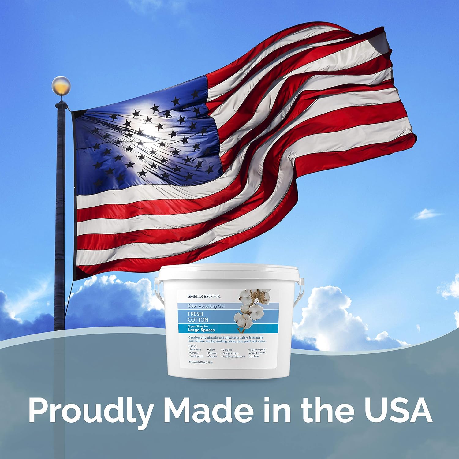 1-Gallon Odor Absorber Gel - A - Gel Air Freshener recensione e prezzo