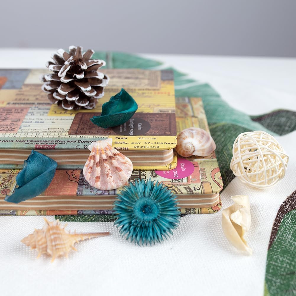 Sea Shell Potpourri Bag Ocean  - Home Fragrance Fillers recensione e prezzo
