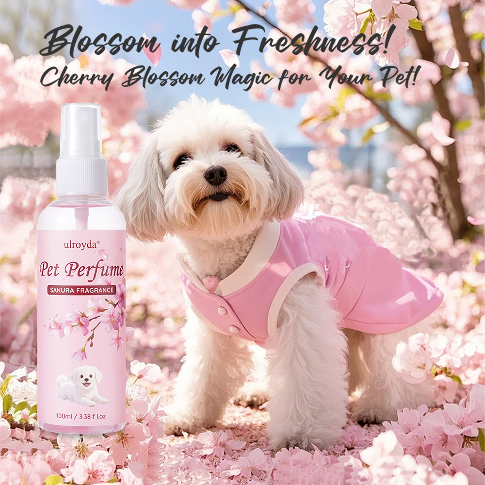 Sakura Pet Perfume Spray Long  - Home Fragrance Mist recensione e prezzo